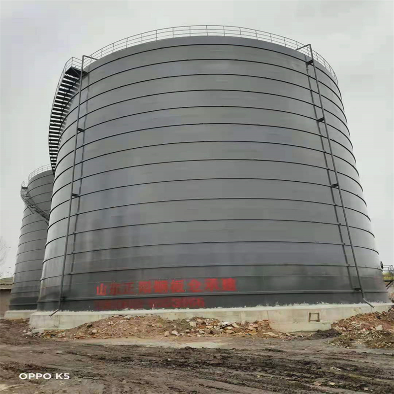 萨迦3万吨大型钢板库