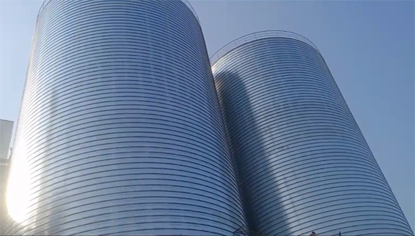 萨迦2座混凝土高架卷板仓